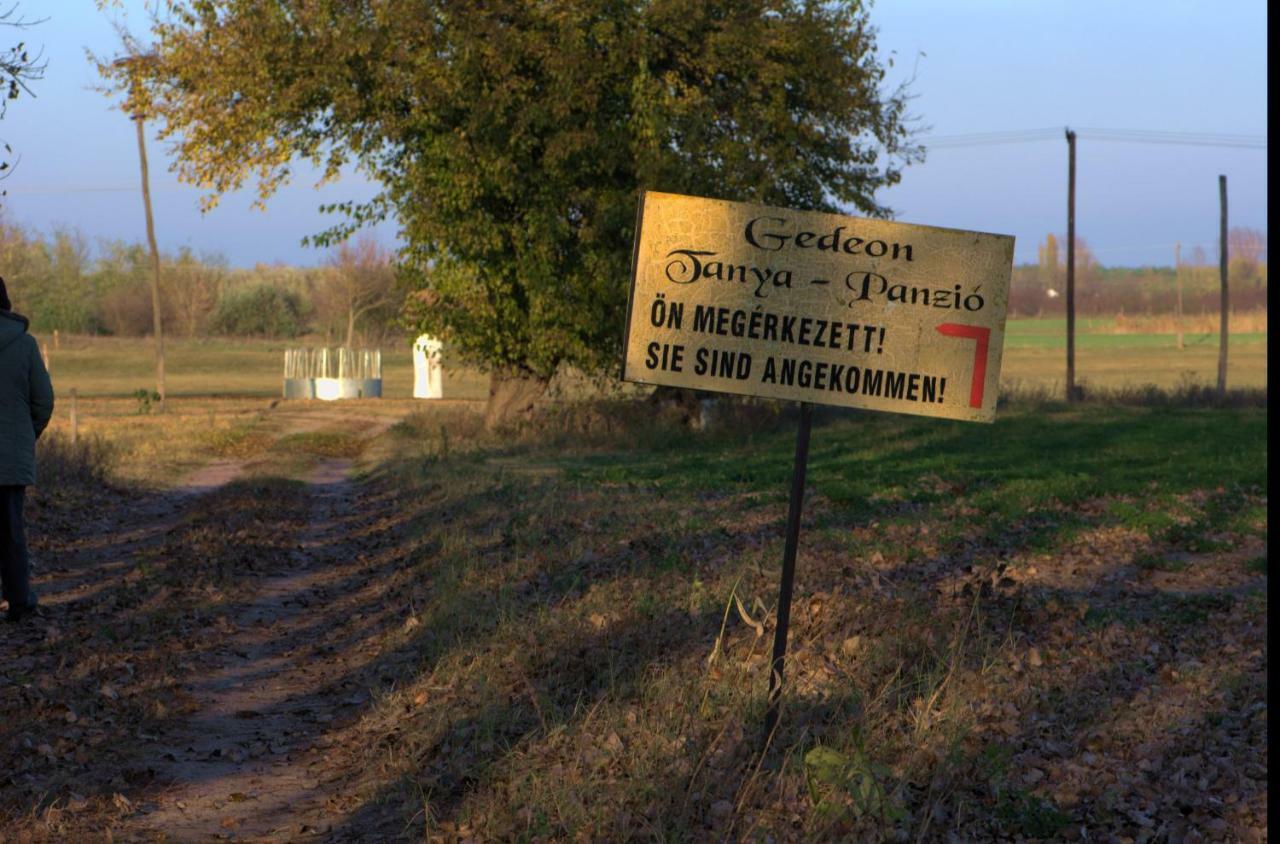 Gospodarstwo wiejskie Gedeon Tanya Panzio